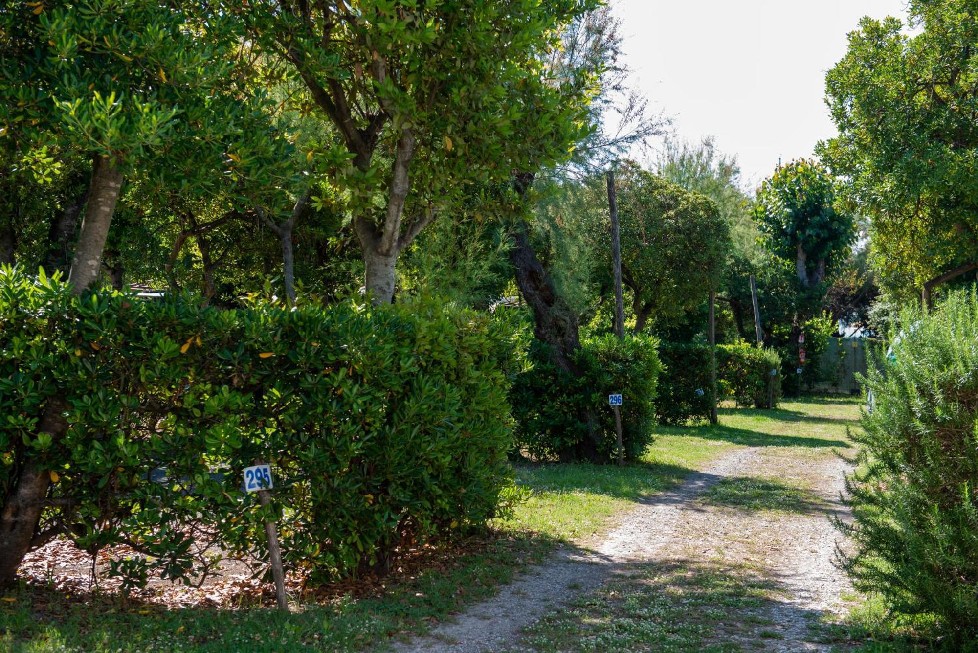 Campeggio Bocca di Cecina Marina di Cecina Esterno foto